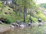 DSCF0024.JPG