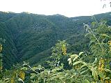 DSCF0037.JPG