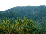 DSCF0038.JPG
