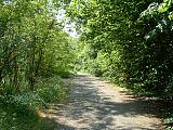 DSCF0043.JPG