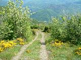 DSCF0044.JPG