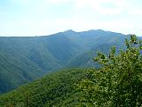 DSCF0045.JPG