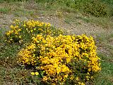 DSCF0048.JPG