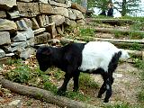 DSCF0050.JPG