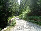 DSCF0012.JPG