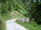 DSCF0013.JPG