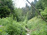 DSCF0016.JPG