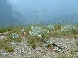 DSCF0024.JPG