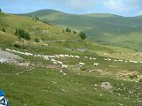 DSCF0133.JPG