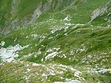 DSCF0143.JPG